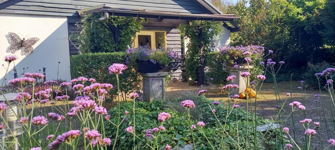 Roing B&B Hijken Exterior foto