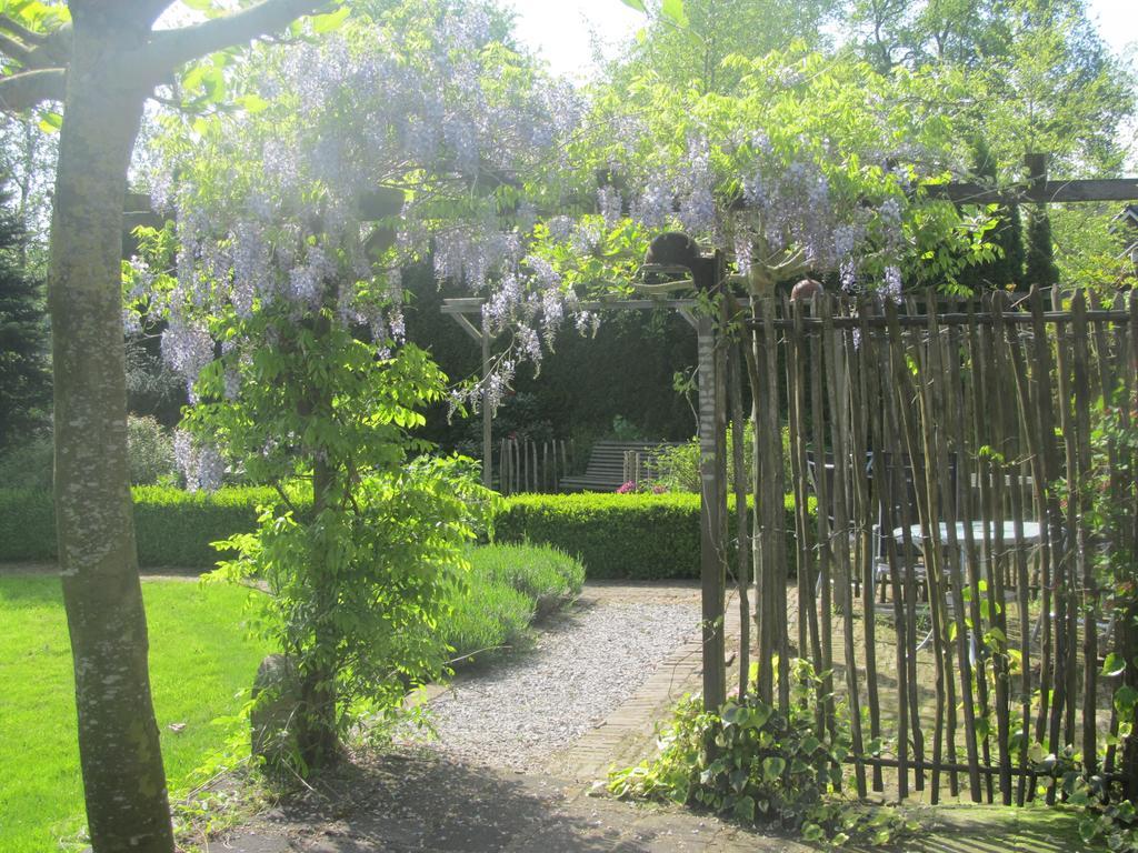 Roing B&B Hijken Exterior foto
